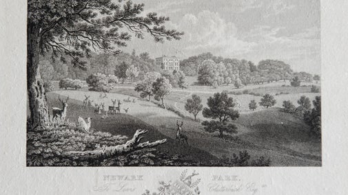 An historic etching of the deer park at Newark Park, Gloucestershire
